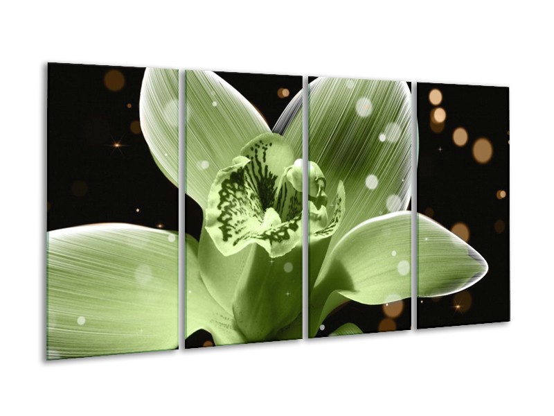 Canvas schilderij Iris | Groen, Zwart | 160x80cm 4Luik