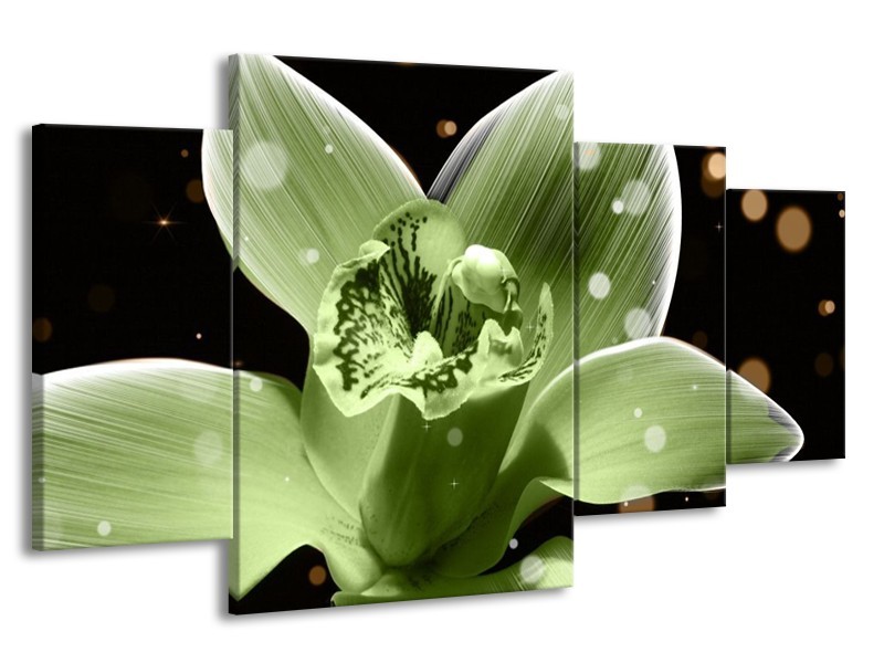 Canvas schilderij Iris | Groen, Zwart | 160x90cm 4Luik