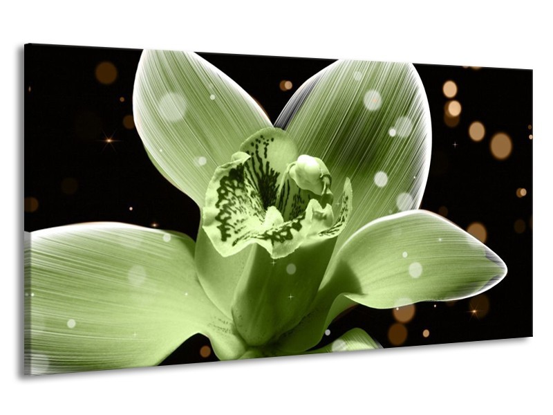 Canvas schilderij Iris | Groen, Zwart | 190x100cm 1Luik