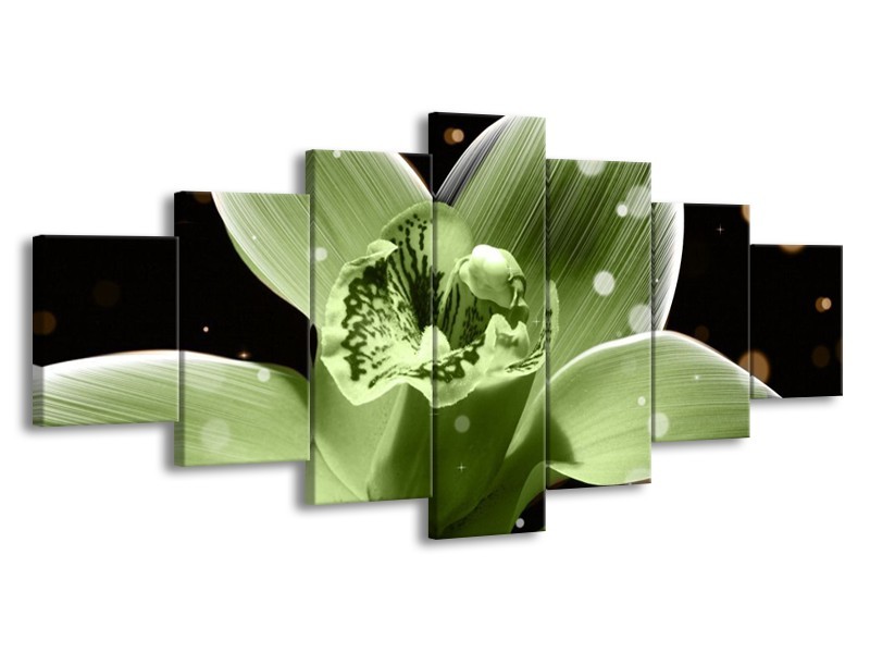 Canvas schilderij Iris | Groen, Zwart | 210x100cm 7Luik