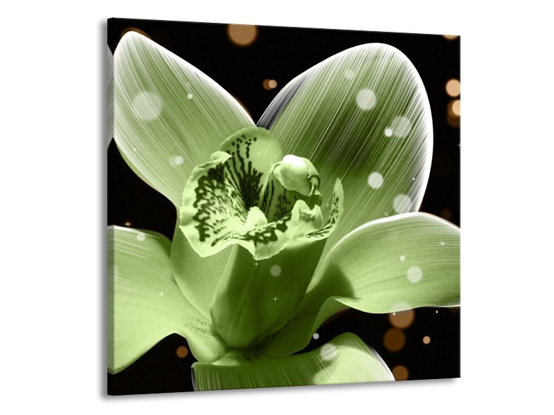 Glas schilderij Iris | Groen, Zwart | 50x50cm 1Luik