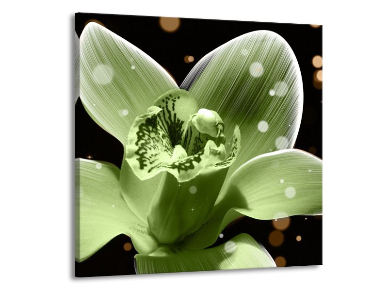 Canvas schilderij Iris | Groen, Zwart | 50x50cm 1Luik