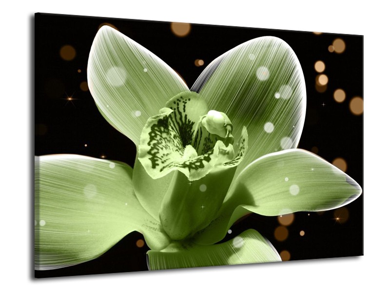Canvas schilderij Iris | Groen, Zwart | 70x50cm 1Luik