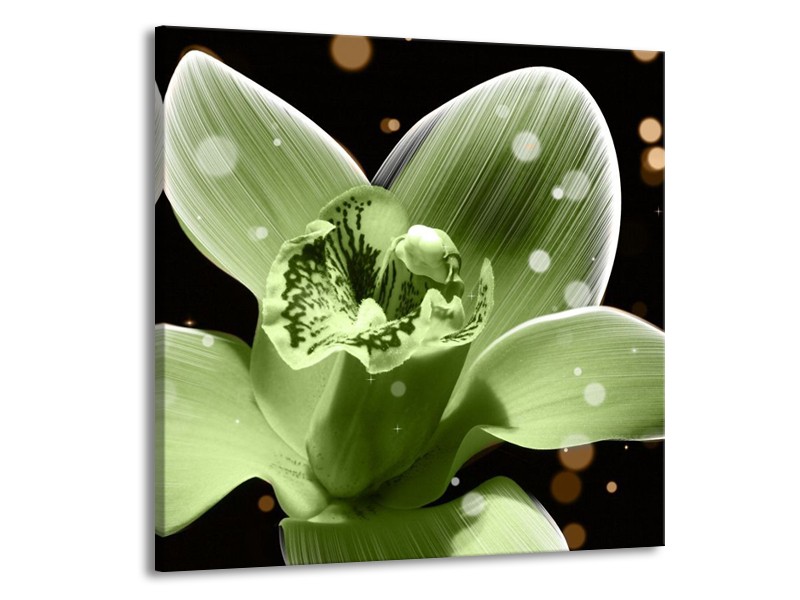 Canvas schilderij Iris | Groen, Zwart | 70x70cm 1Luik