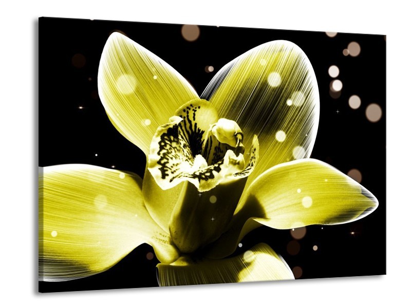 Canvas schilderij Iris | Geel, Zwart | 100x70cm 1Luik