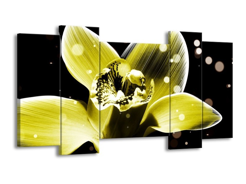 Canvas schilderij Iris | Geel, Zwart | 120x65 5Luik