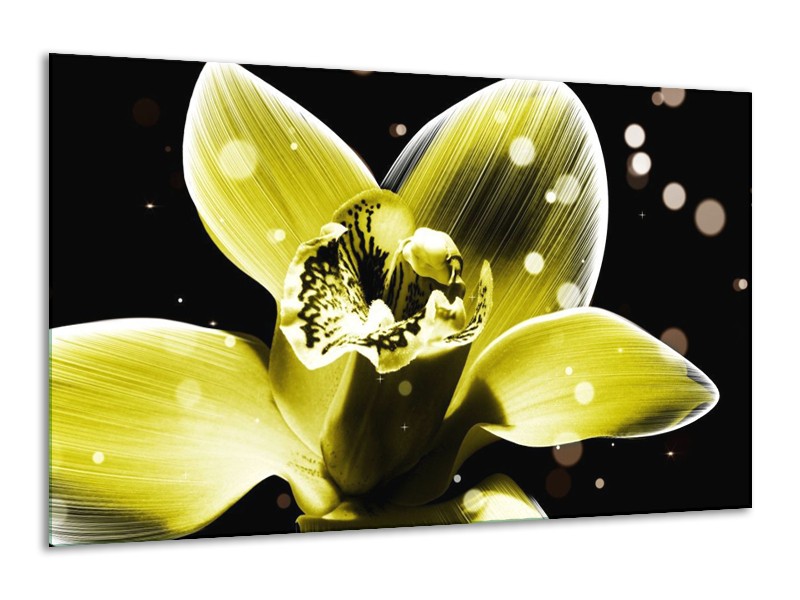 Canvas schilderij Iris | Geel, Zwart | 120x70cm 1Luik