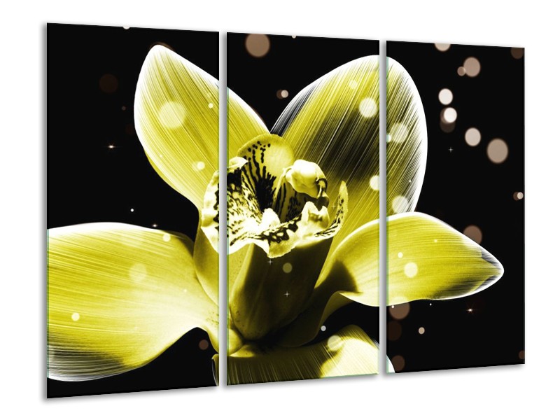 Canvas schilderij Iris | Geel, Zwart | 120x80cm 3Luik