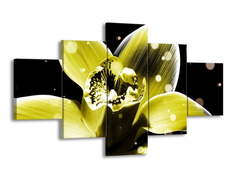 Canvas schilderij Iris | Geel, Zwart | 125x70cm 5Luik
