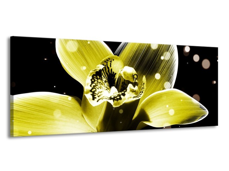 Canvas schilderij Iris | Geel, Zwart | 145x58cm 1Luik