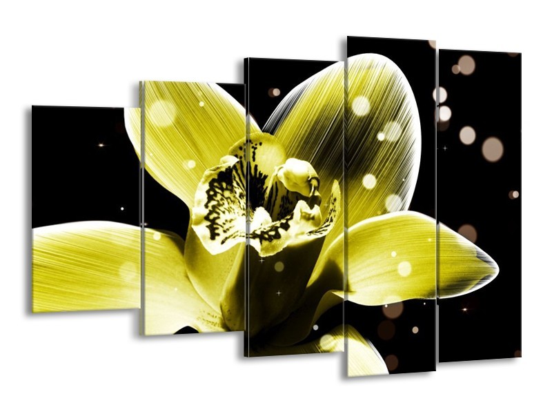 Canvas schilderij Iris | Geel, Zwart | 150x100cm 5Luik