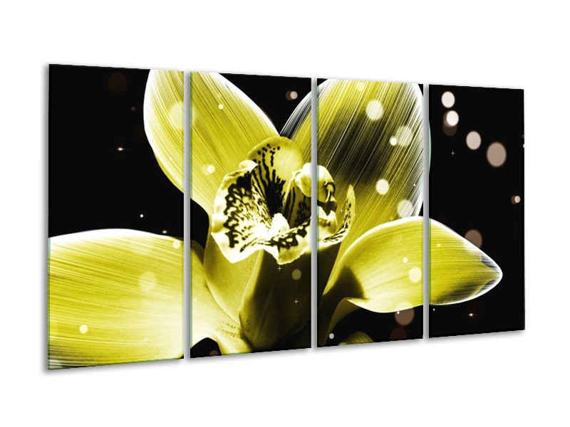 Canvas schilderij Iris | Geel, Zwart | 160x80cm 4Luik