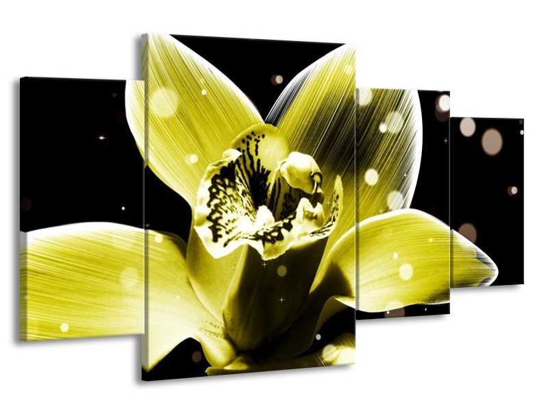 Canvas schilderij Iris | Geel, Zwart | 160x90cm 4Luik