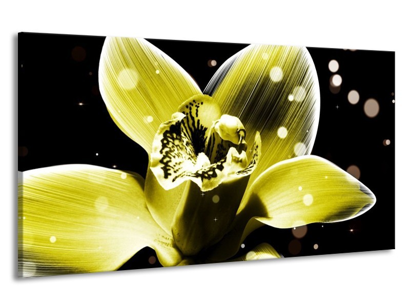 Canvas schilderij Iris | Geel, Zwart | 190x100cm 1Luik
