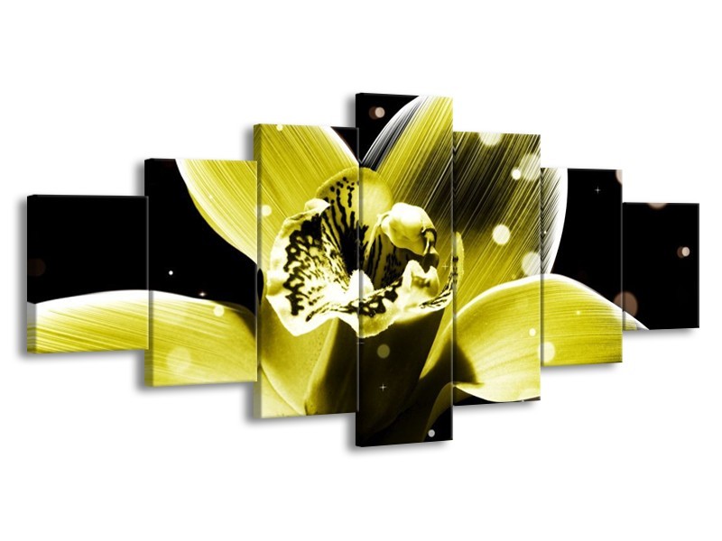 Canvas schilderij Iris | Geel, Zwart | 210x100cm 7Luik
