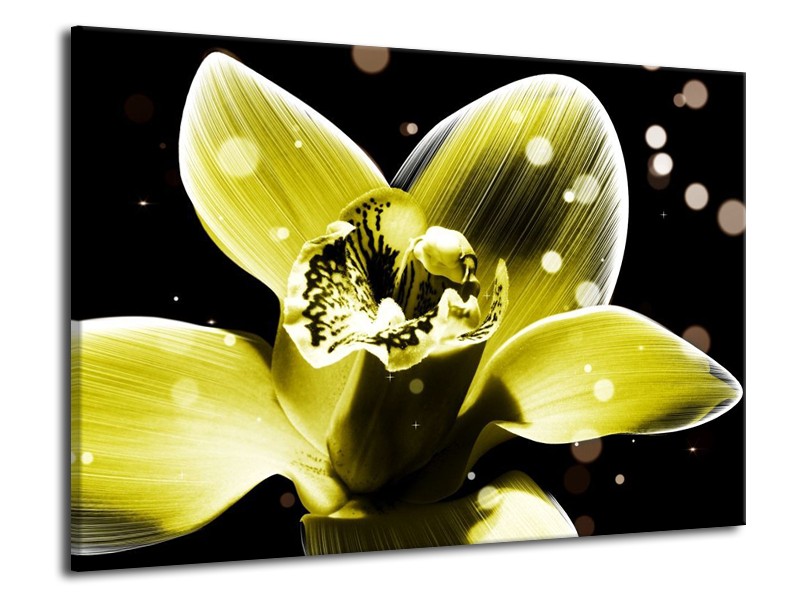 Canvas schilderij Iris | Geel, Zwart | 70x50cm 1Luik
