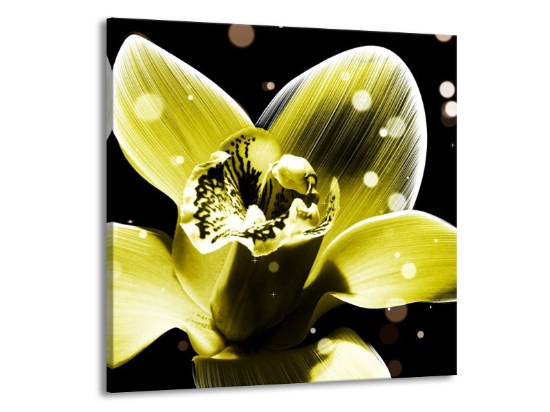 Canvas schilderij Iris | Geel, Zwart | 70x70cm 1Luik