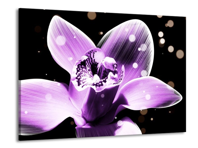 Canvas schilderij Iris | Paars, Zwart | 100x70cm 1Luik