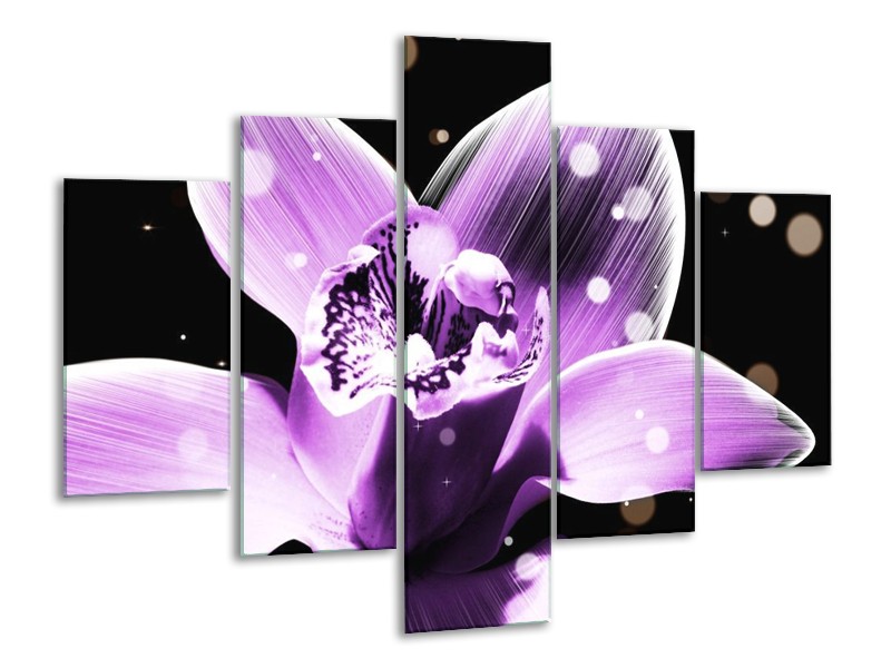 Canvas schilderij Iris | Paars, Zwart | 100x70cm 5Luik