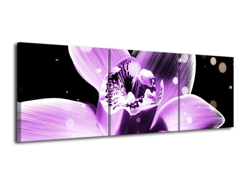 Canvas schilderij Iris | Paars, Zwart | 120x40cm 3Luik