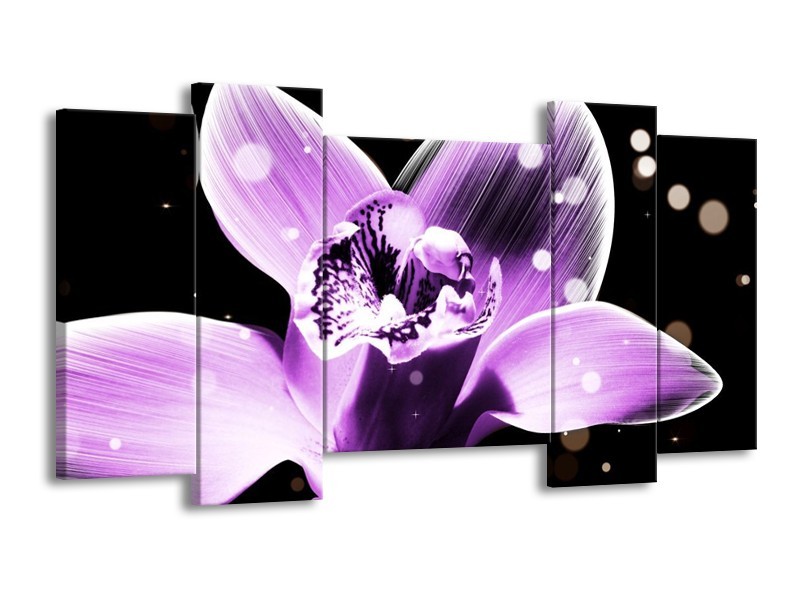 Canvas schilderij Iris | Paars, Zwart | 120x65 5Luik