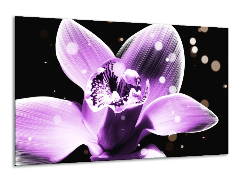 Canvas schilderij Iris | Paars, Zwart | 120x70cm 1Luik