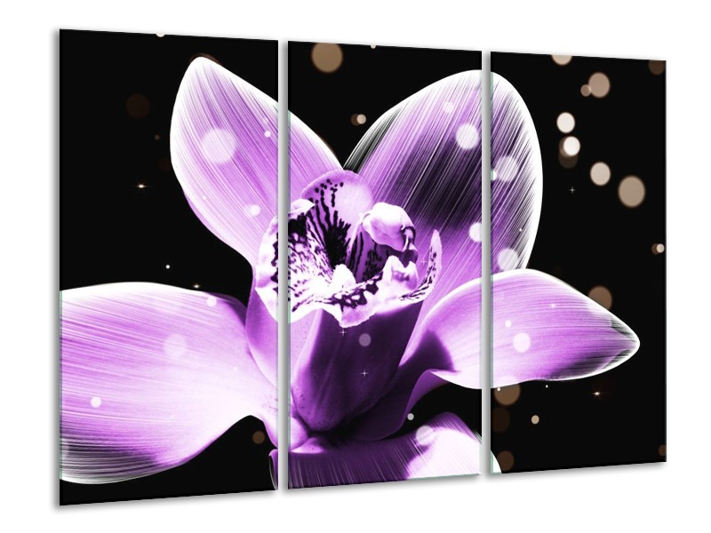Canvas schilderij Iris | Paars, Zwart | 120x80cm 3Luik