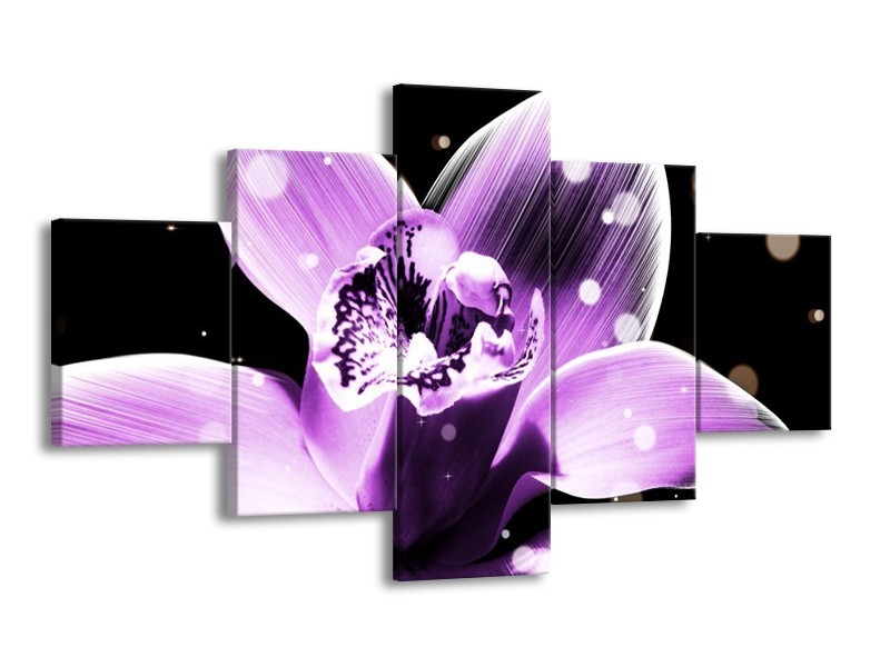Canvas schilderij Iris | Paars, Zwart | 125x70cm 5Luik