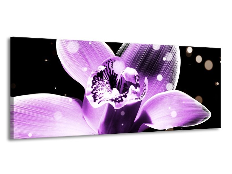 Canvas schilderij Iris | Paars, Zwart | 145x58cm 1Luik