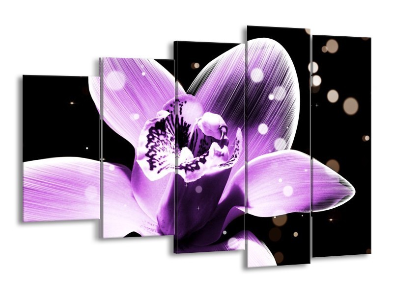 Canvas schilderij Iris | Paars, Zwart | 150x100cm 5Luik