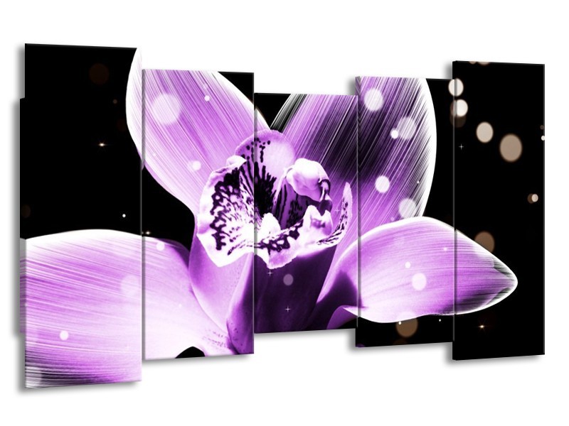 Canvas schilderij Iris | Paars, Zwart | 150x80cm 5Luik