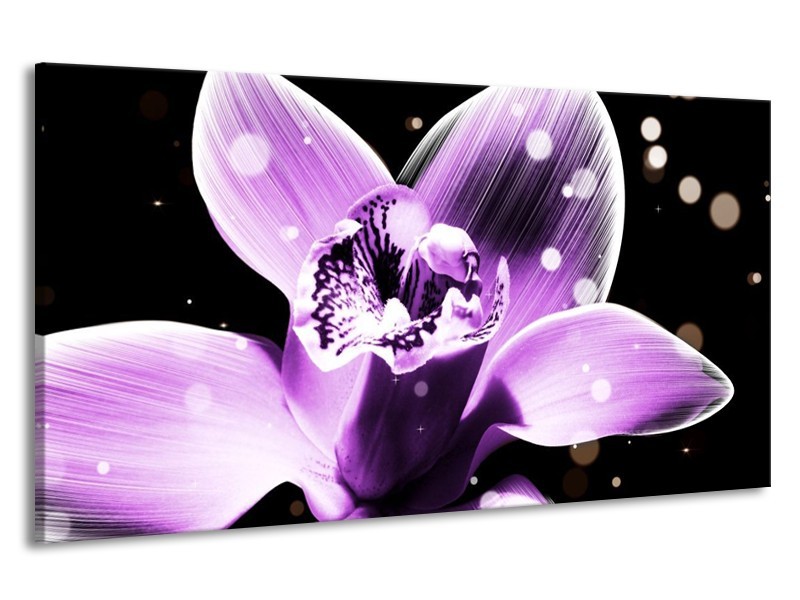 Canvas schilderij Iris | Paars, Zwart | 190x100cm 1Luik