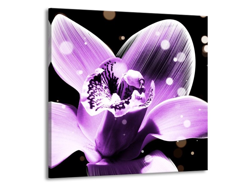 Canvas schilderij Iris | Paars, Zwart | 50x50cm 1Luik