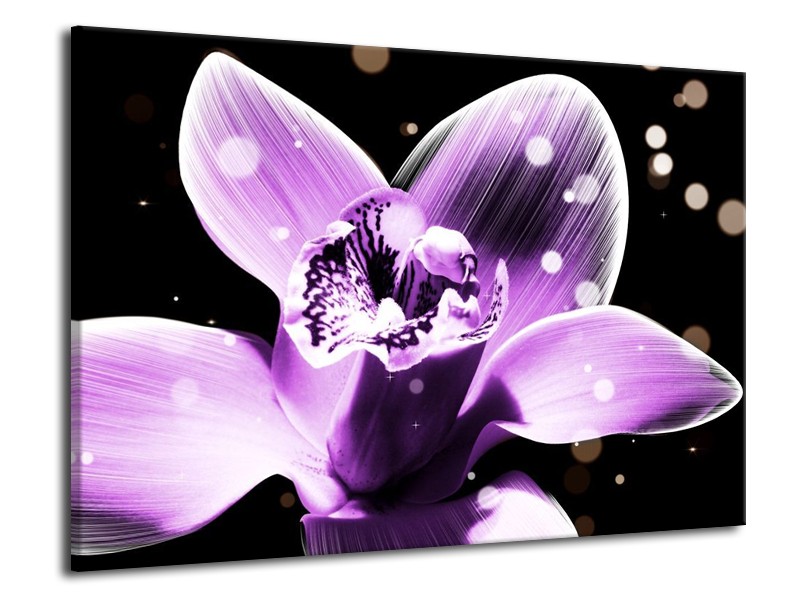 Canvas schilderij Iris | Paars, Zwart | 70x50cm 1Luik