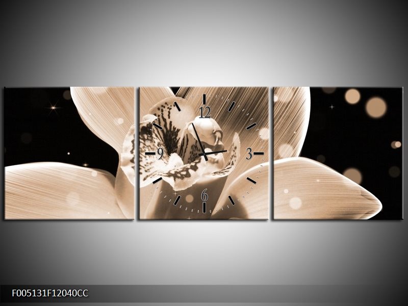 Klok schilderij Bloem | Grijs, Zwart | 120x40cm 3Luik