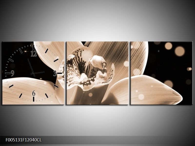 Klok schilderij Bloem | Grijs, Zwart | 120x40cm 3Luik