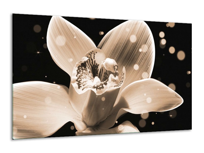 Canvas schilderij Bloem | Grijs, Zwart | 120x70cm 1Luik