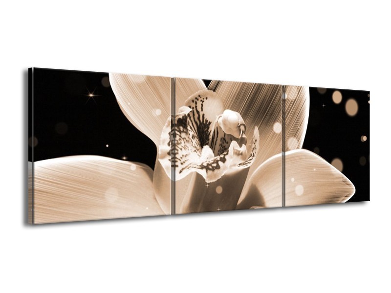 Canvas schilderij Bloem | Grijs, Zwart | 150x50cm 3Luik