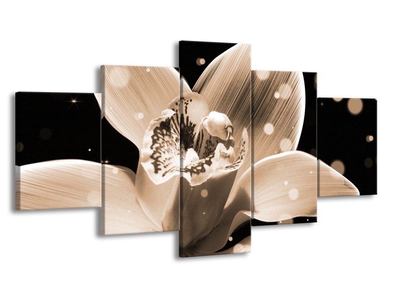 Canvas schilderij Bloem | Grijs, Zwart | 150x80cm 5Luik