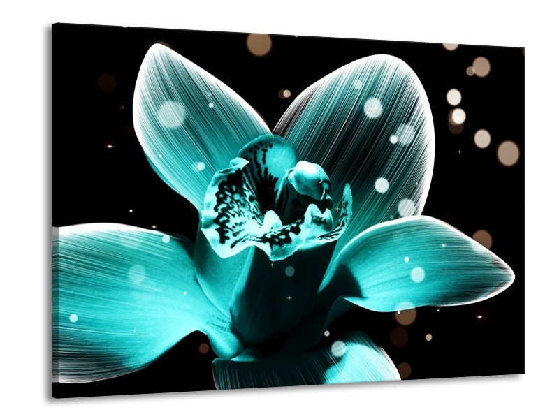 Canvas schilderij Bloem | Blauw, Zwart | 100x70cm 1Luik