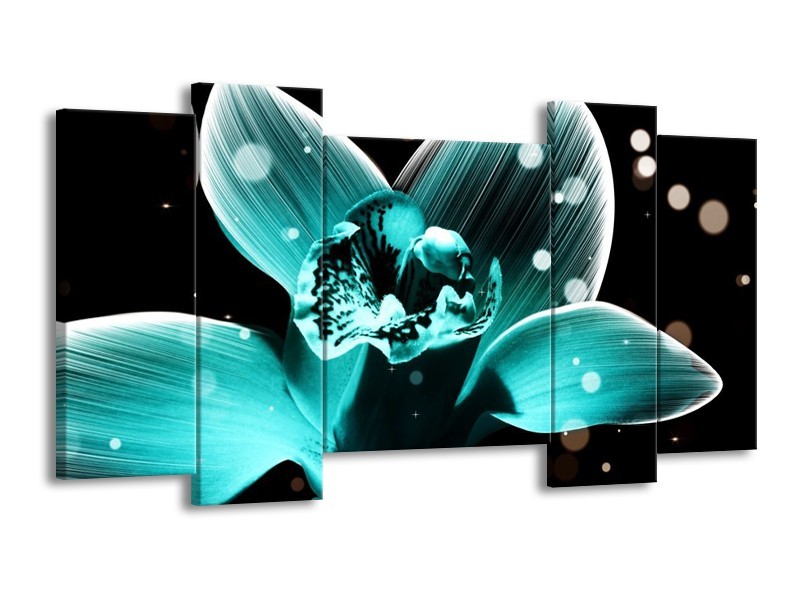 Canvas schilderij Bloem | Blauw, Zwart | 120x65 5Luik