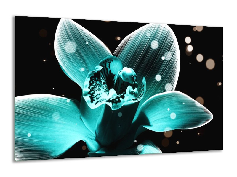 Canvas schilderij Bloem | Blauw, Zwart | 120x70cm 1Luik