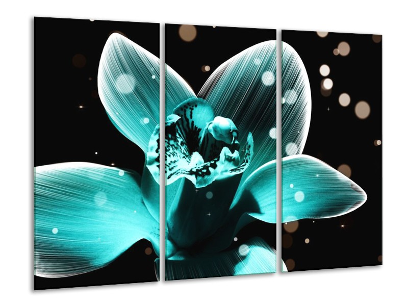 Canvas schilderij Bloem | Blauw, Zwart | 120x80cm 3Luik