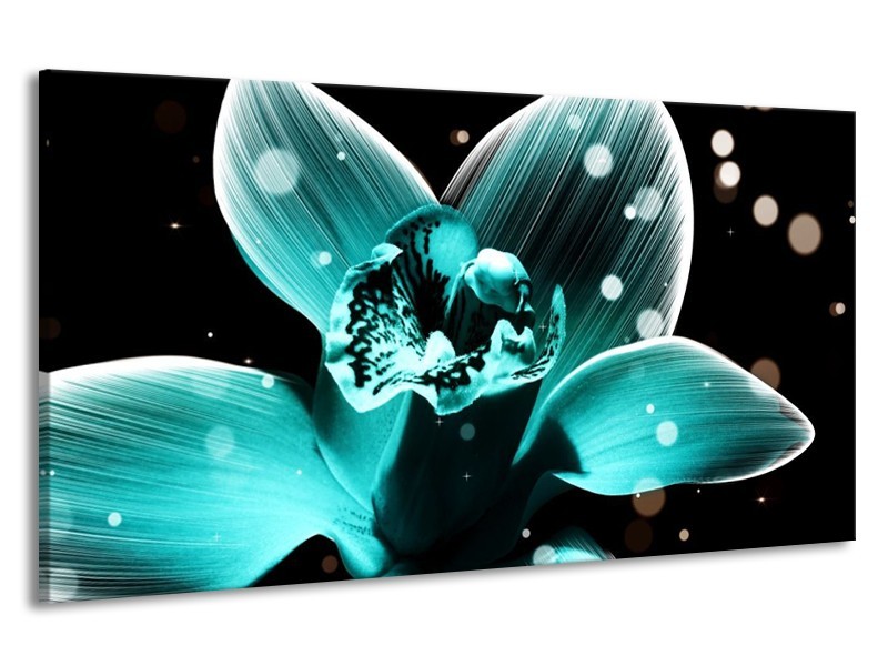 Canvas schilderij Bloem | Blauw, Zwart | 190x100cm 1Luik