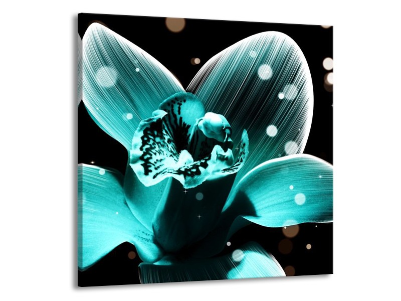 Canvas schilderij Bloem | Blauw, Zwart | 50x50cm 1Luik