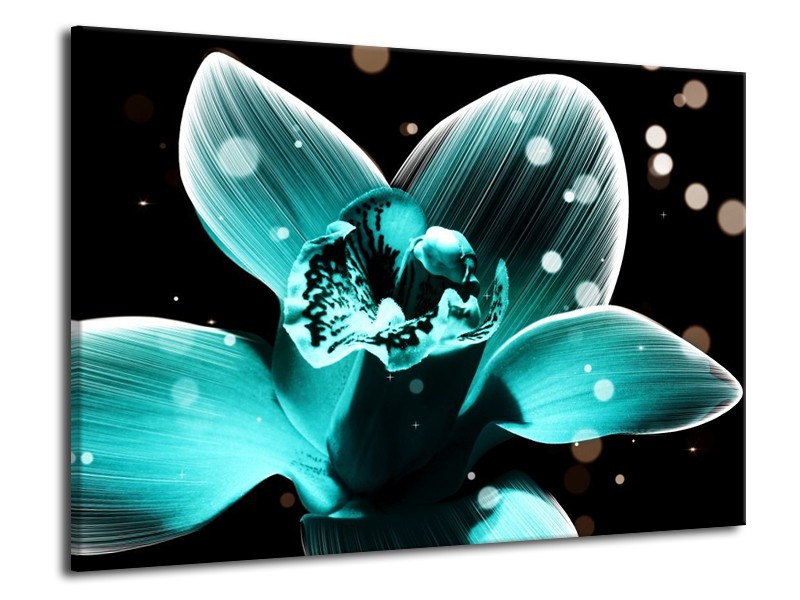 Canvas schilderij Bloem | Blauw, Zwart | 70x50cm 1Luik