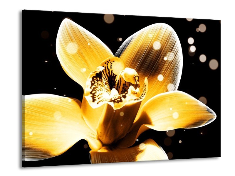 Canvas schilderij Bloem | Geel, Zwart | 100x70cm 1Luik