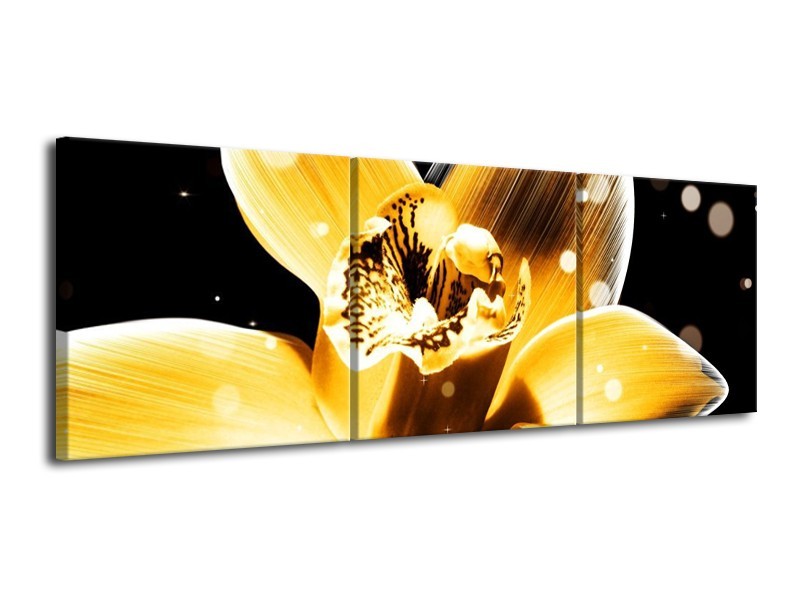 Canvas schilderij Bloem | Geel, Zwart | 120x40cm 3Luik
