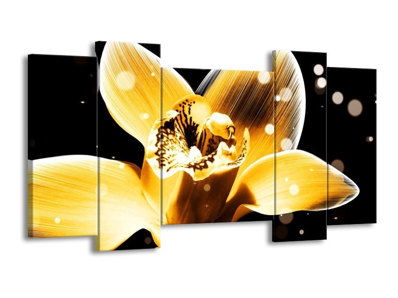 Canvas schilderij Bloem | Geel, Zwart | 120x65 5Luik