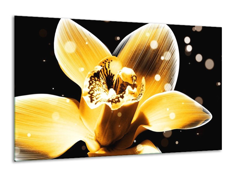 Canvas schilderij Bloem | Geel, Zwart | 120x70cm 1Luik